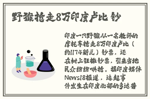 久久免费路线1234